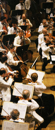 Strings section
