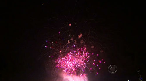 Fireworks Spectacular 2010 - Fireworks