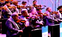 The Violin Section