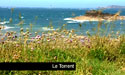 Le Torrent