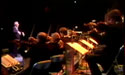 Yet another view of the Orchestra