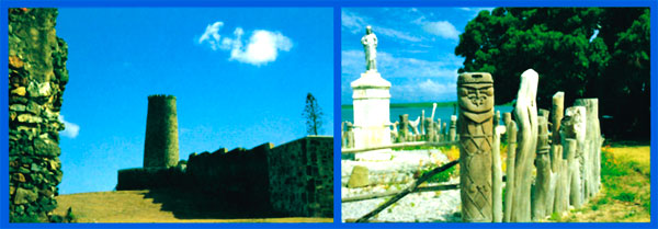 Ogasawara LD - Back Cover